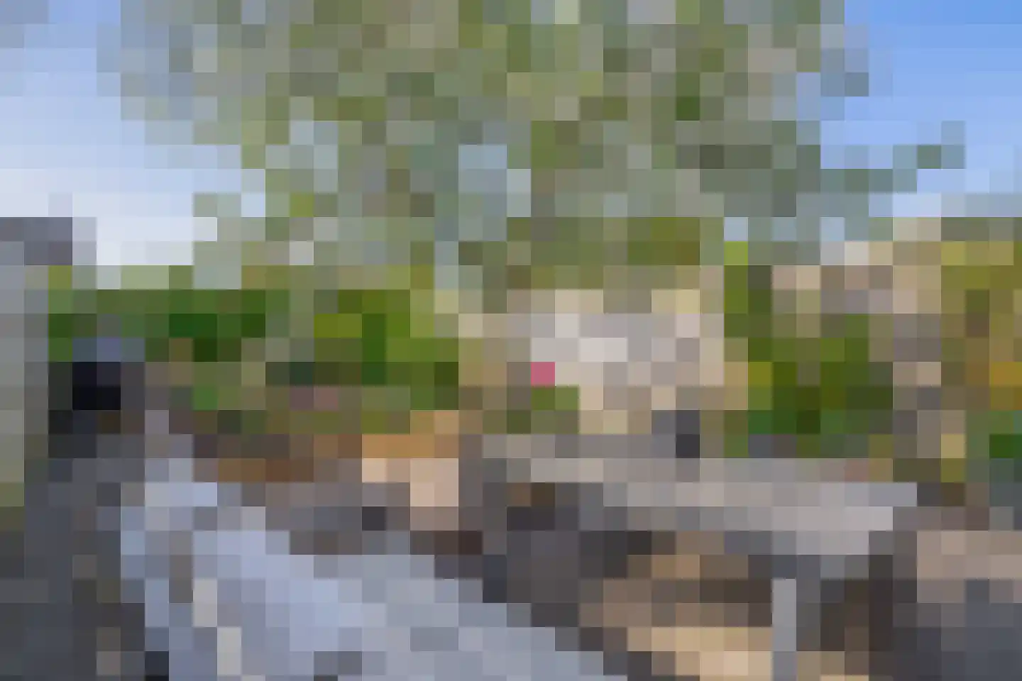 Hiddemaheerd 195 Groningen thumbnail 25