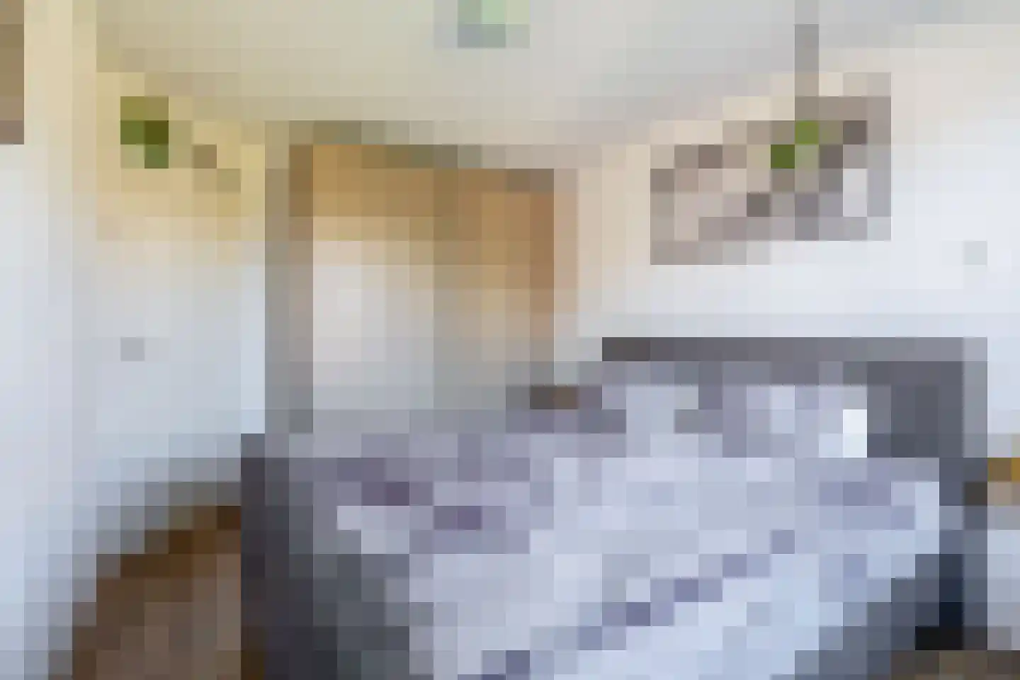 Hiddemaheerd 195 Groningen thumbnail 30