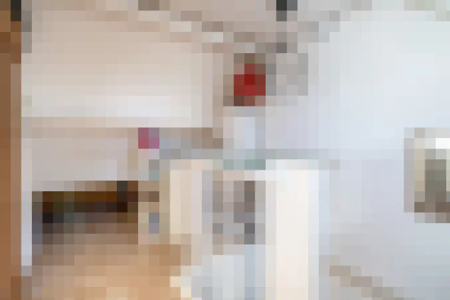 Hiddemaheerd 195 Groningen thumbnail 36