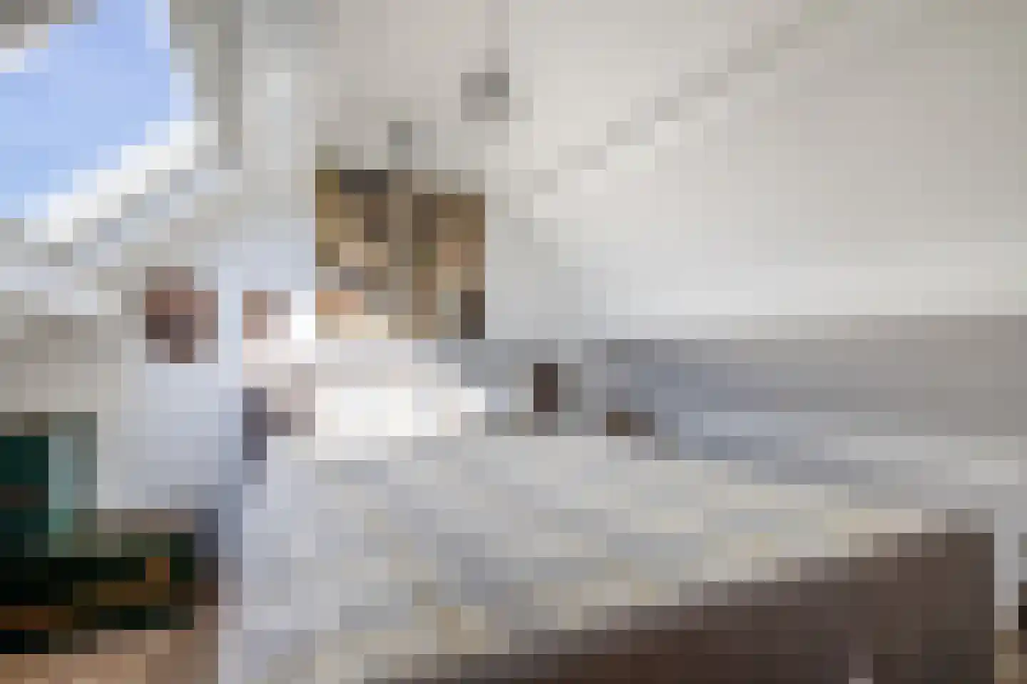 Hiddemaheerd 195 Groningen thumbnail 38