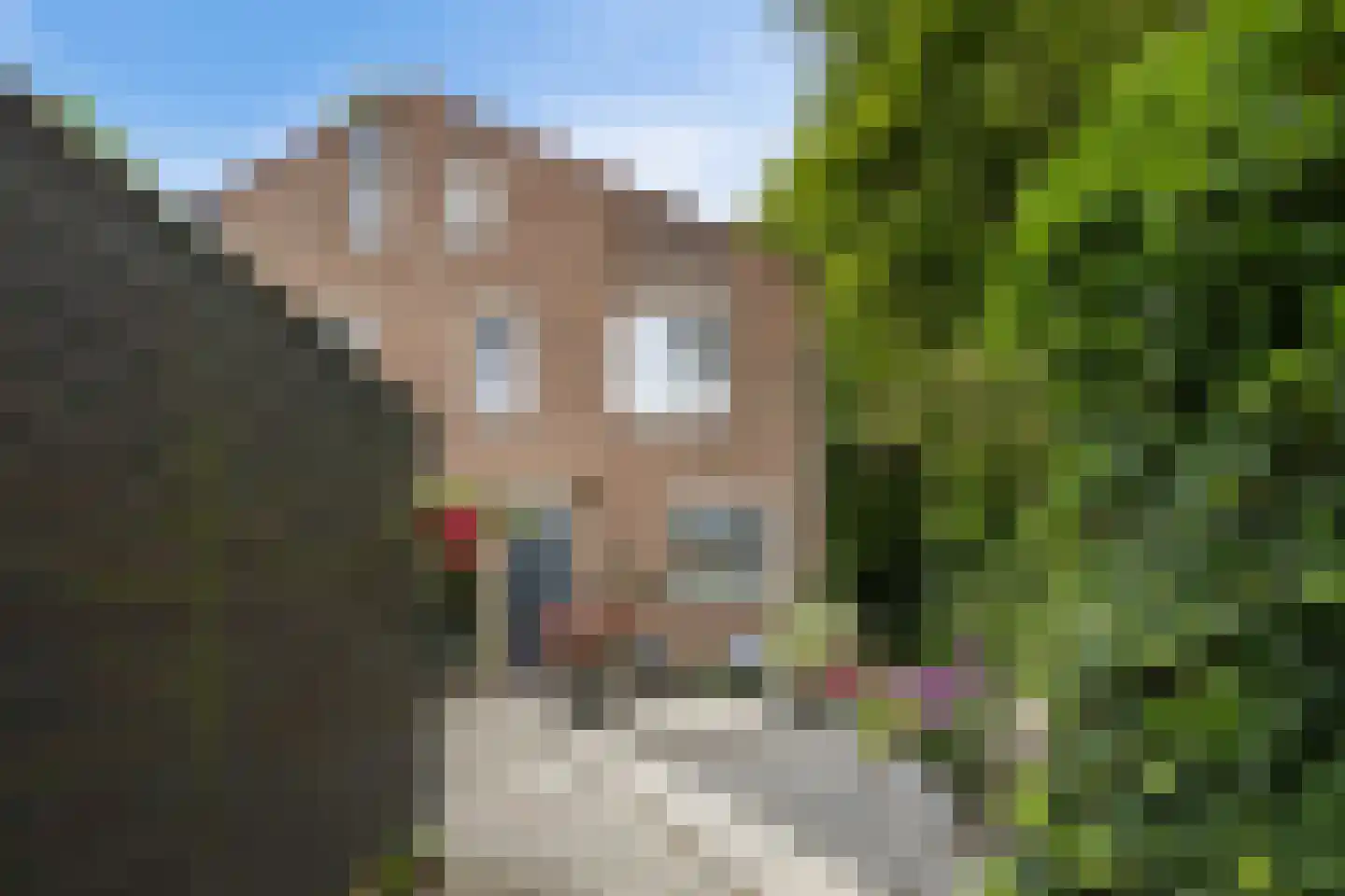 Hiddemaheerd 52 Groningen