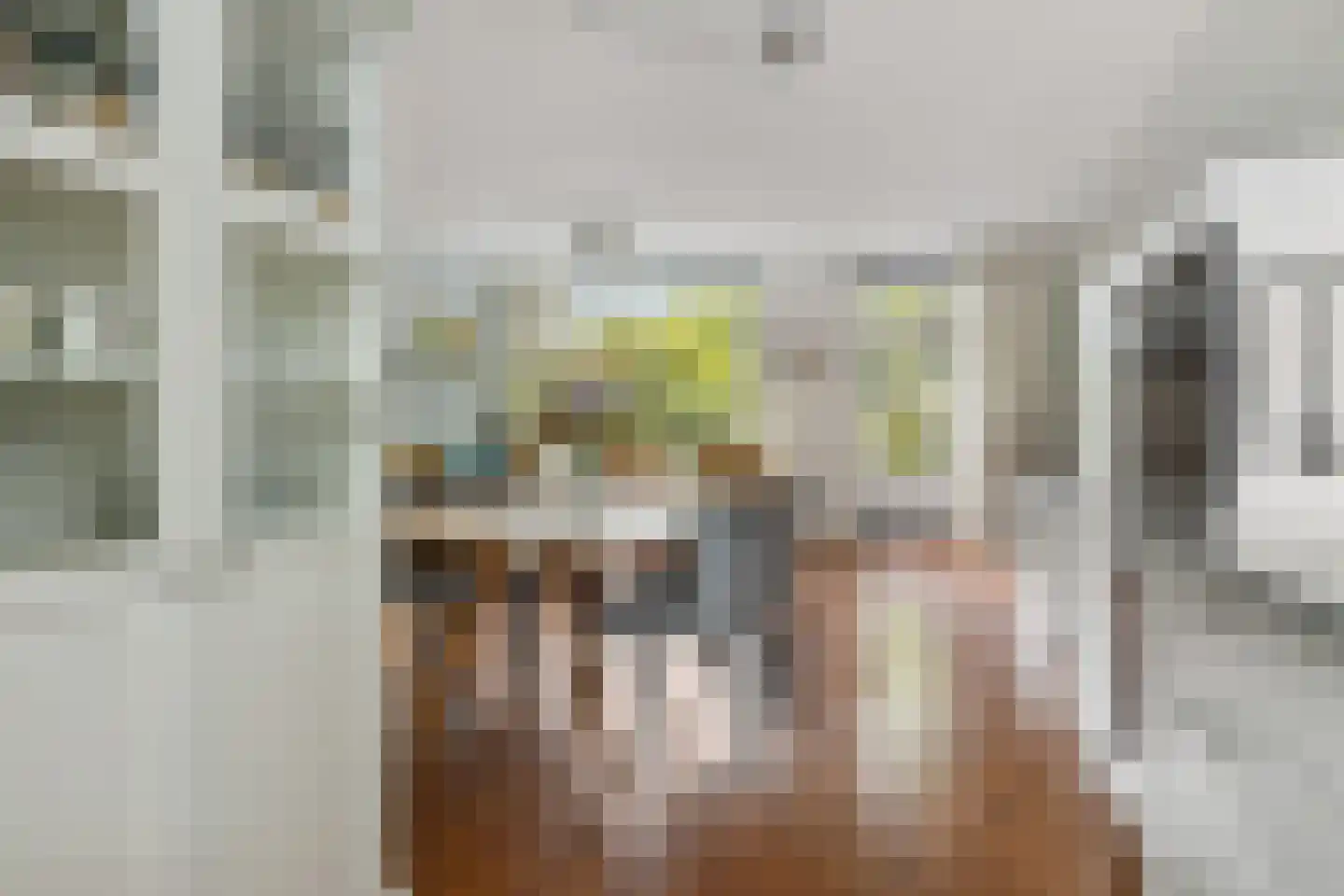 Hiddemaheerd 52 Groningen thumbnail 18