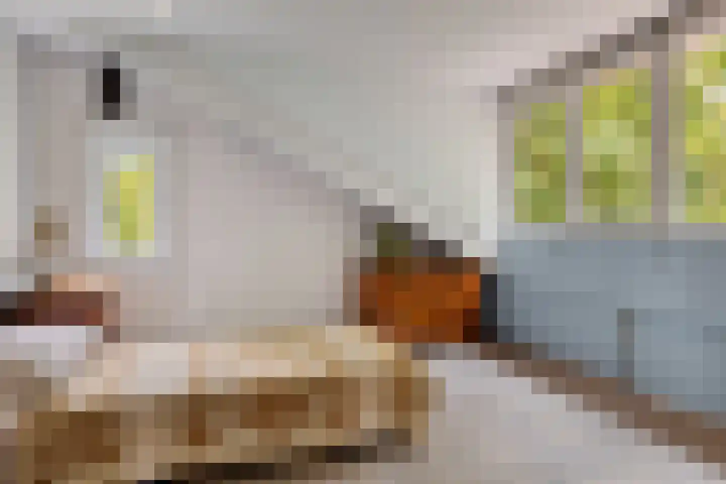Hiddemaheerd 52 Groningen thumbnail 29
