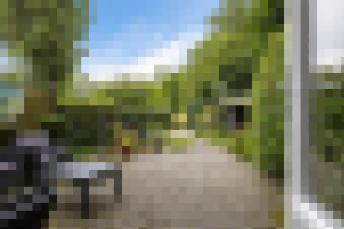 Hiddemaheerd 52 Groningen thumbnail 30