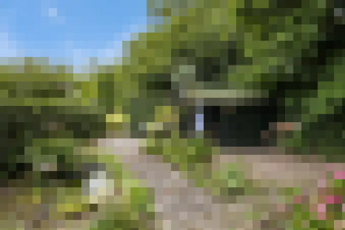 Hiddemaheerd 52 Groningen thumbnail 31