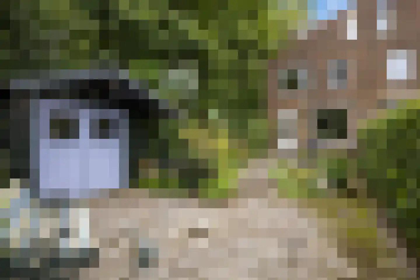 Hiddemaheerd 52 Groningen thumbnail 32