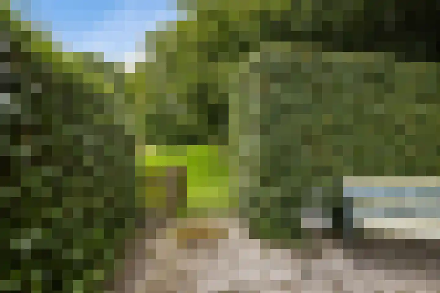 Hiddemaheerd 52 Groningen thumbnail 35