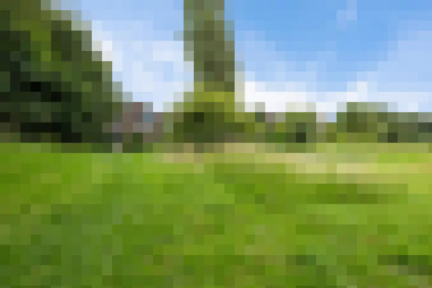 Hiddemaheerd 52 Groningen thumbnail 36
