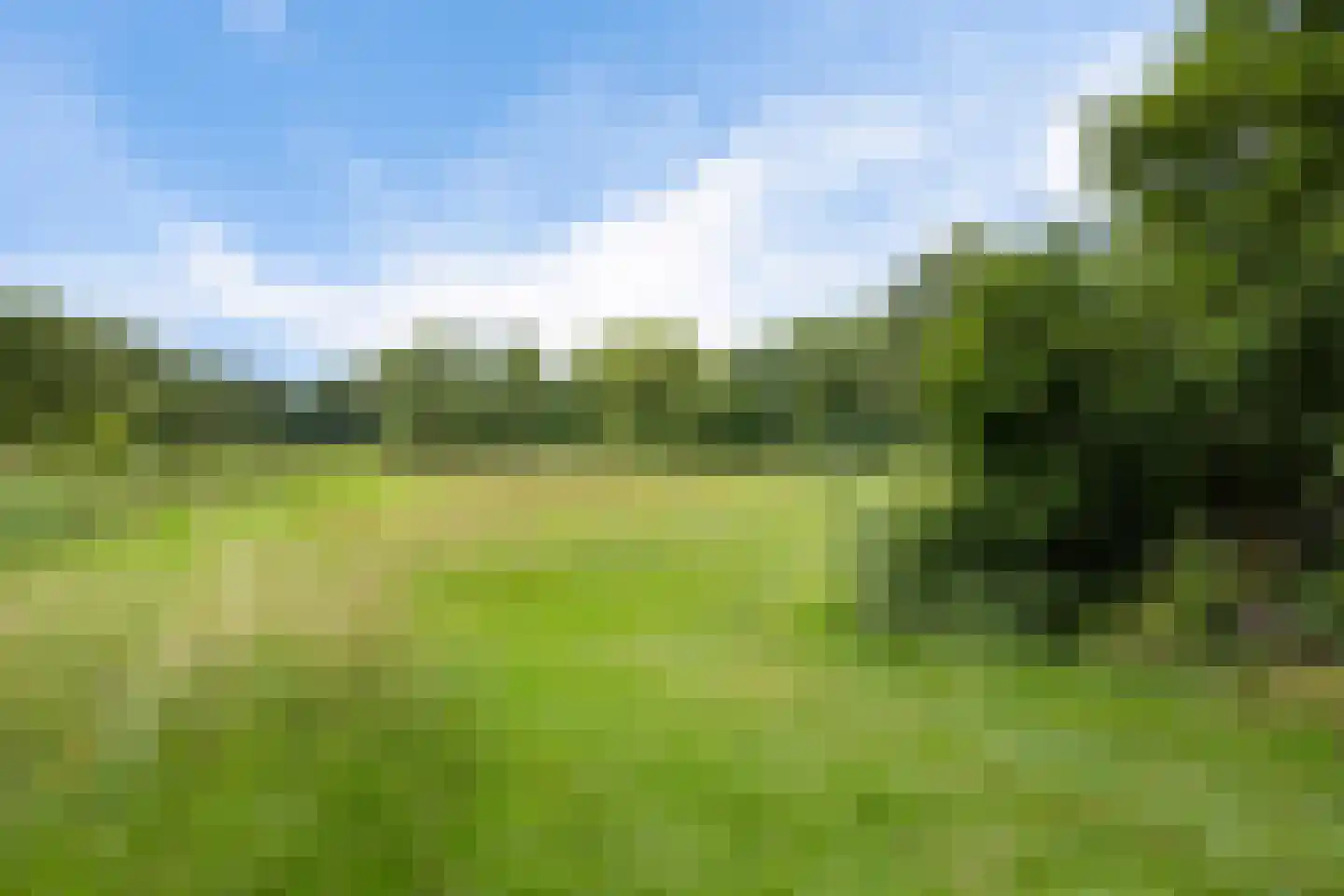 Hiddemaheerd 52 Groningen thumbnail 37