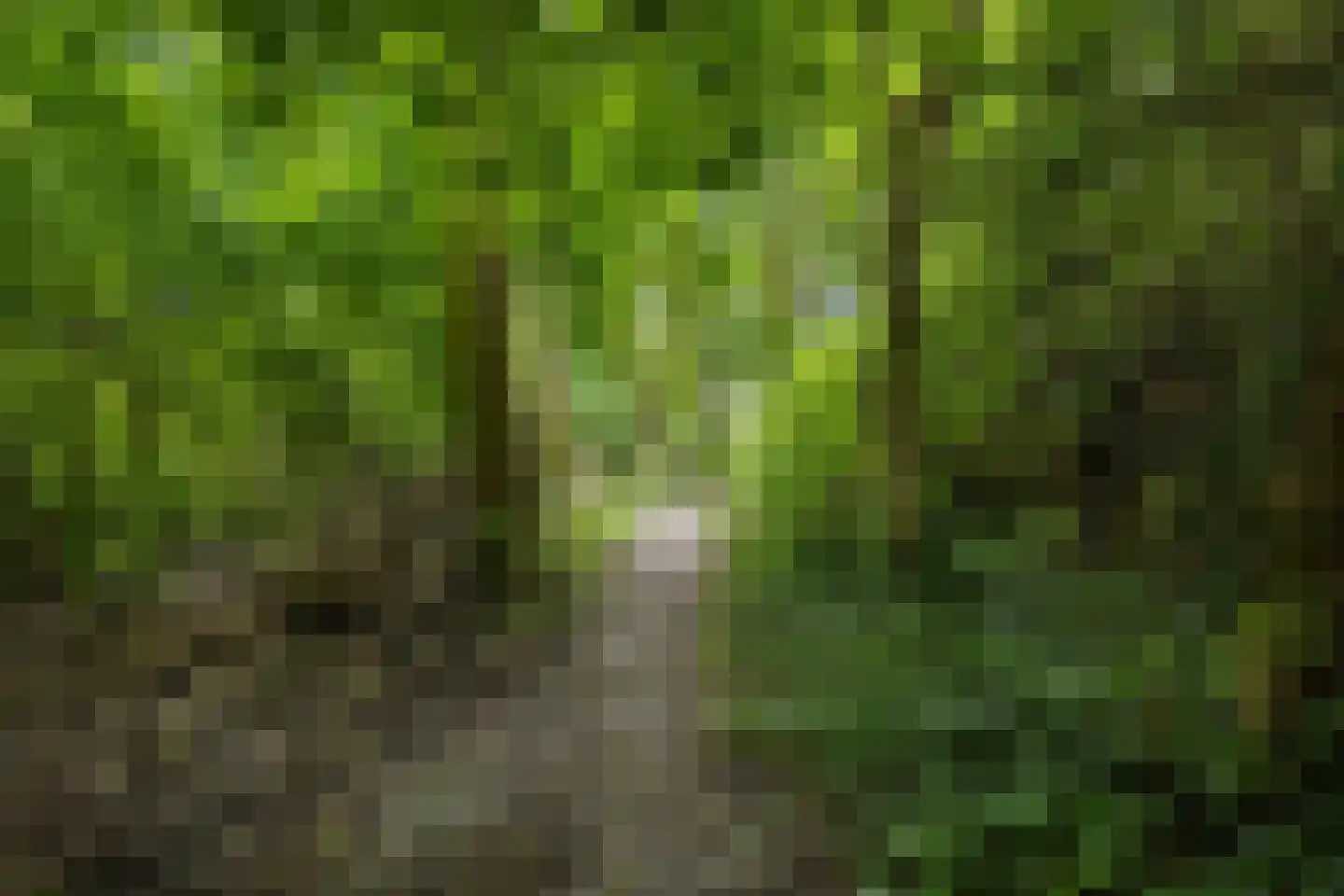 Hiddemaheerd 52 Groningen thumbnail 38