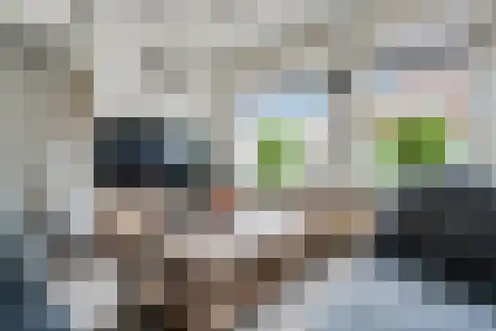 Hiddemaheerd 53 Groningen thumbnail 12