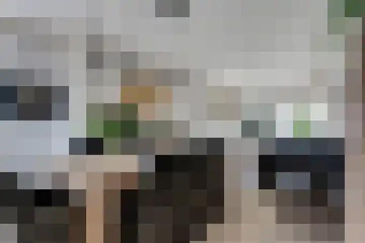 Hiddemaheerd 53 Groningen thumbnail 17