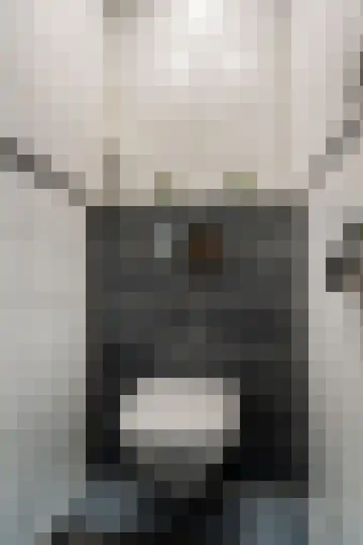 Hiddemaheerd 53 Groningen thumbnail 19