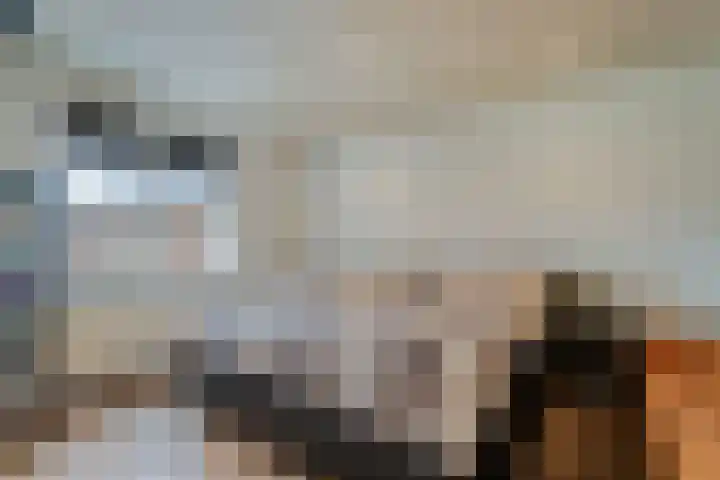 Hiddemaheerd 53 Groningen thumbnail 21
