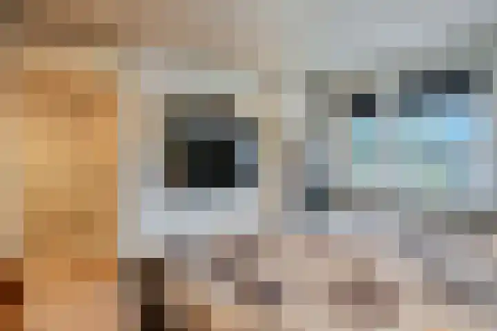 Hiddemaheerd 53 Groningen thumbnail 22