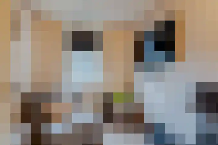 Hiddemaheerd 53 Groningen thumbnail 25