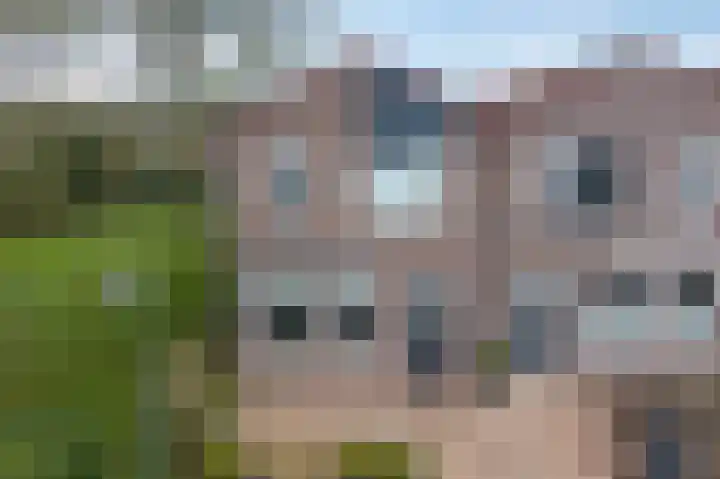 Hiddemaheerd 53 Groningen thumbnail 30