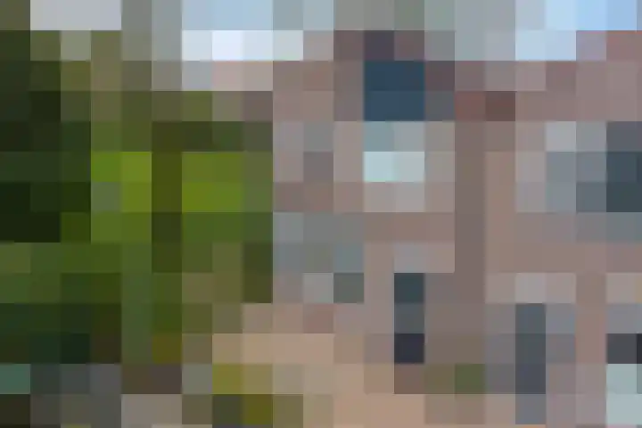Hiddemaheerd 53 Groningen thumbnail 31