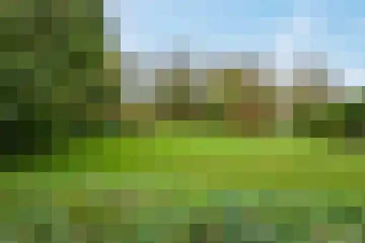 Hiddemaheerd 53 Groningen thumbnail 33