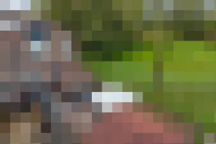 Hiddemaheerd 53 Groningen thumbnail 4
