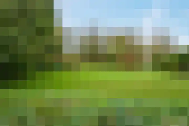 Hiddemaheerd 53 Groningen thumbnail 5