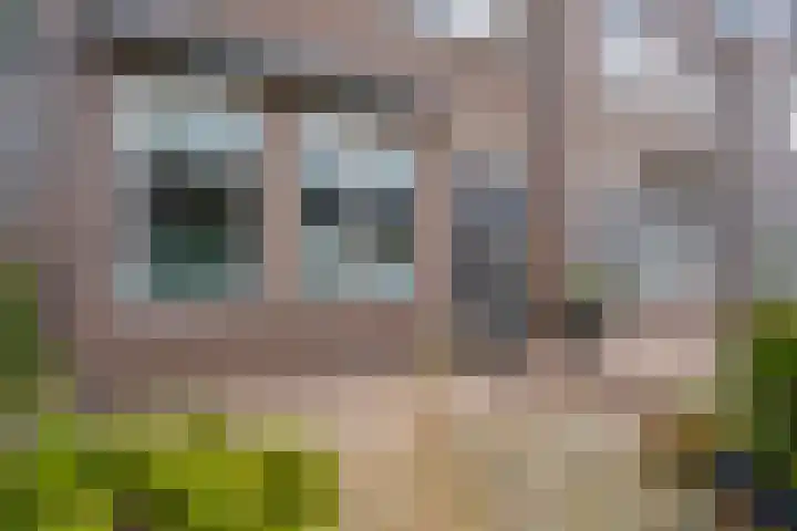 Hiddemaheerd 53 Groningen thumbnail 8
