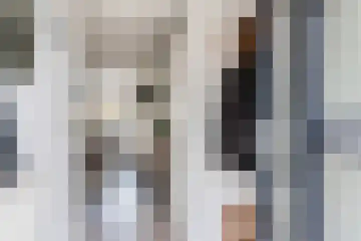 Hiddemaheerd 53 Groningen thumbnail 9