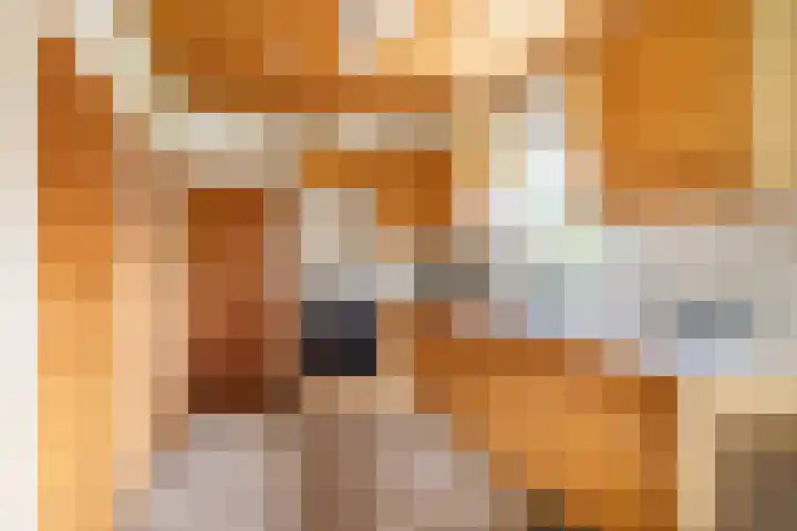 Hiddemalaan 4 Peize thumbnail 13