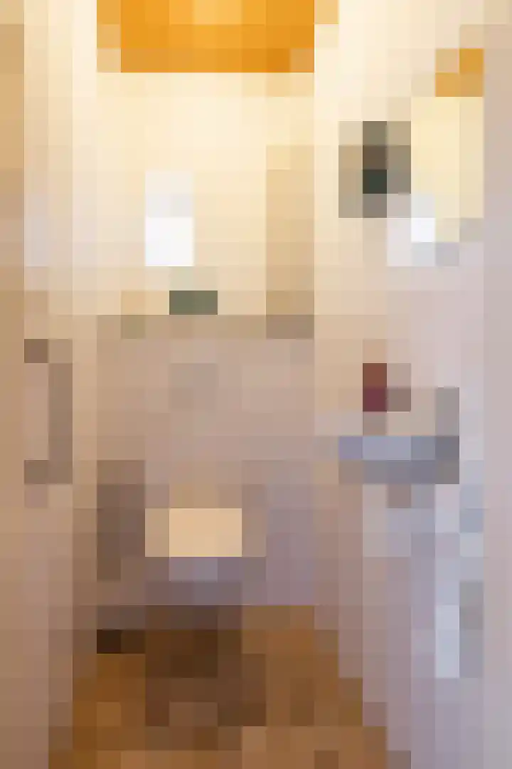 Hiddemalaan 4 Peize thumbnail 15