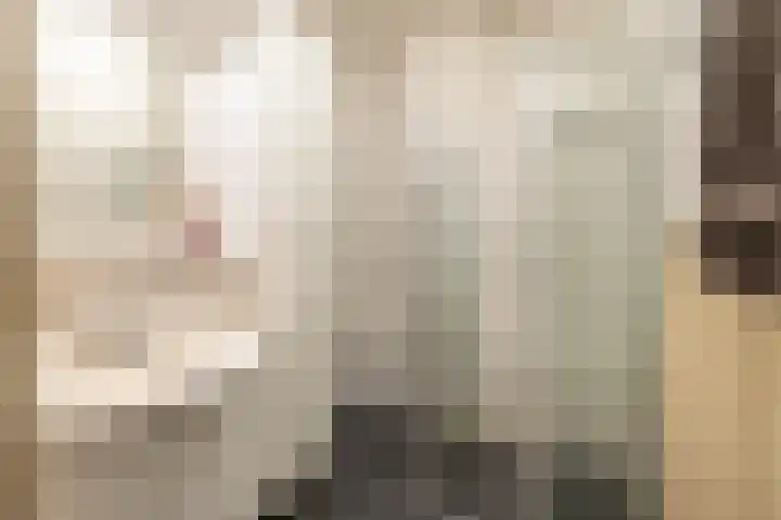 Hiddemalaan 4 Peize thumbnail 17