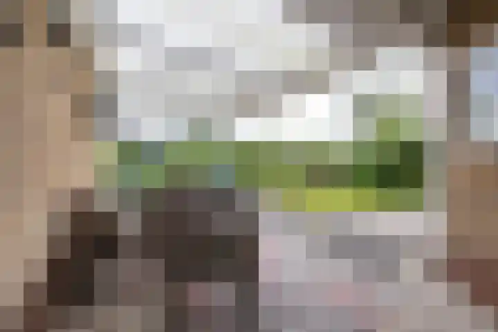 Hiddemalaan 4 Peize thumbnail 26