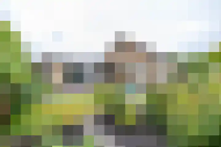 Hiddemalaan 4 Peize thumbnail 28