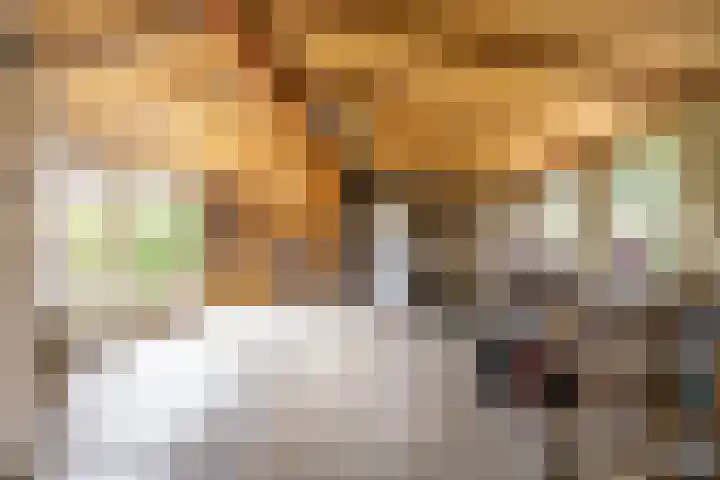 Hiddemalaan 4 Peize thumbnail 29