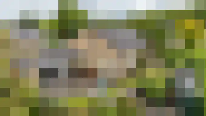 Hiddemalaan 4 Peize foto 3