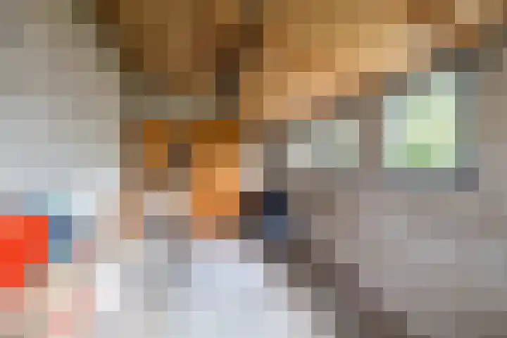 Hiddemalaan 4 Peize thumbnail 32