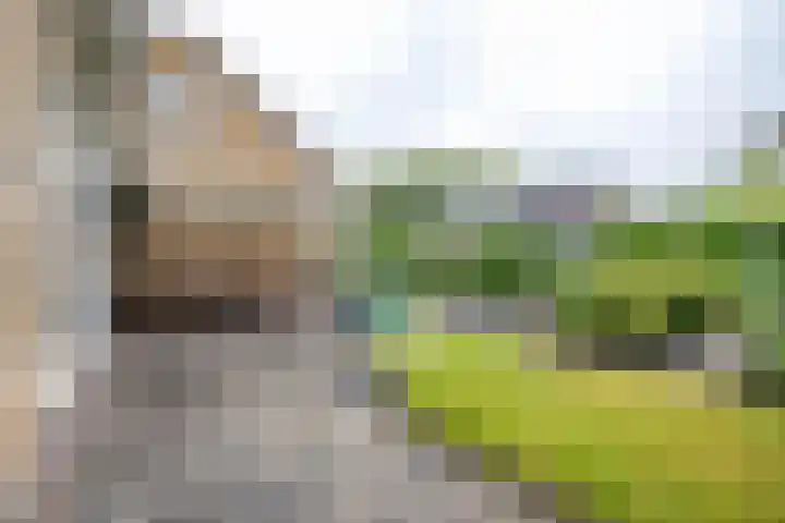 Hiddemalaan 4 Peize thumbnail 33