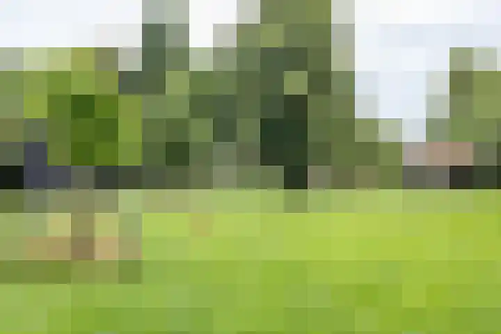 Hiddemalaan 4 Peize thumbnail 37