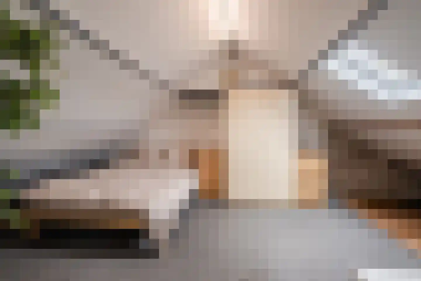 Hiddes de Friesstraat 2 Veghel thumbnail 26