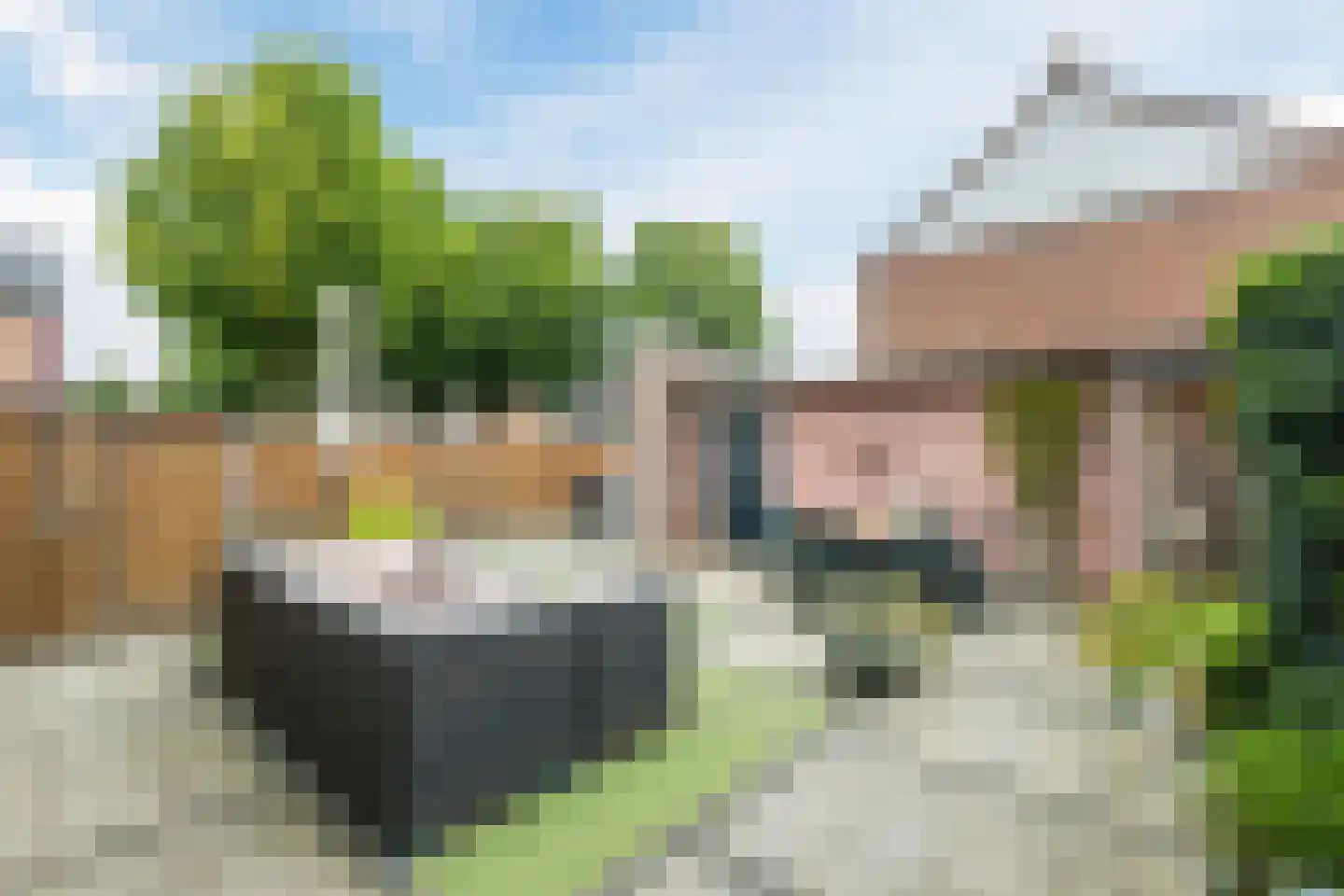 Hiddes de Friesstraat 2 Veghel thumbnail 29