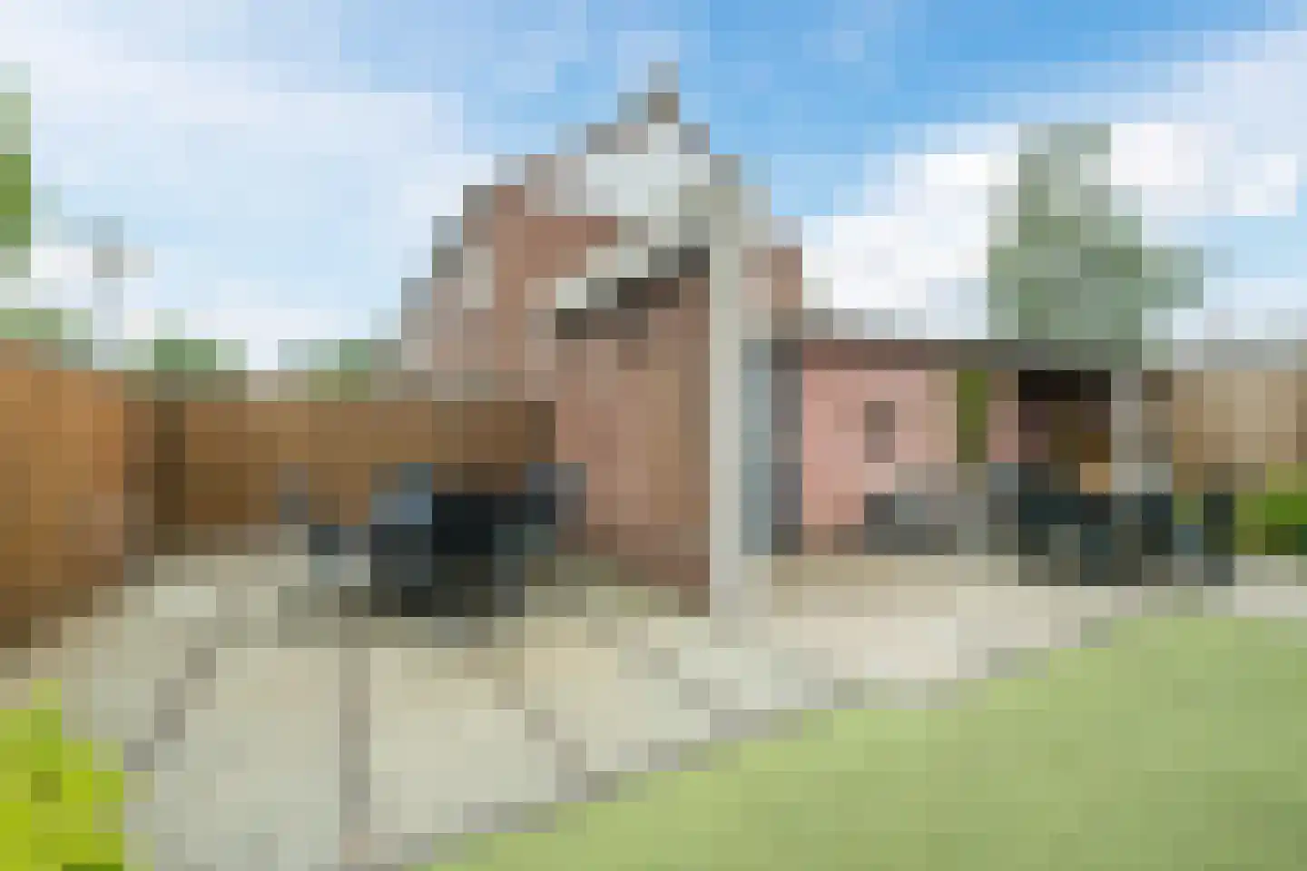 Hiddes de Friesstraat 2 Veghel thumbnail 30