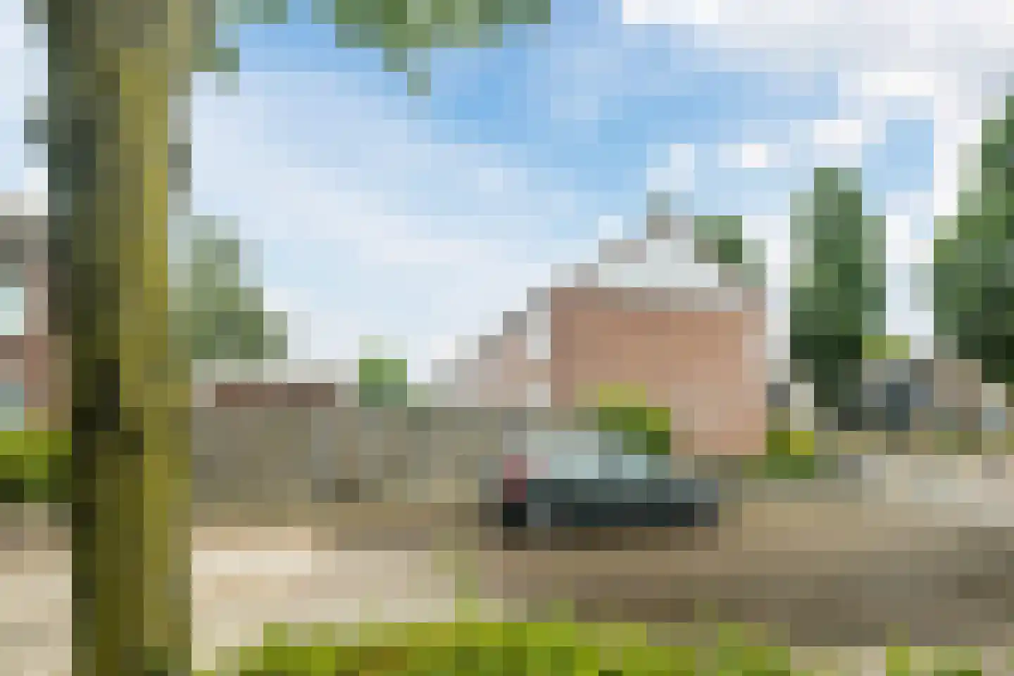 Hiddes de Friesstraat 2 Veghel thumbnail 34