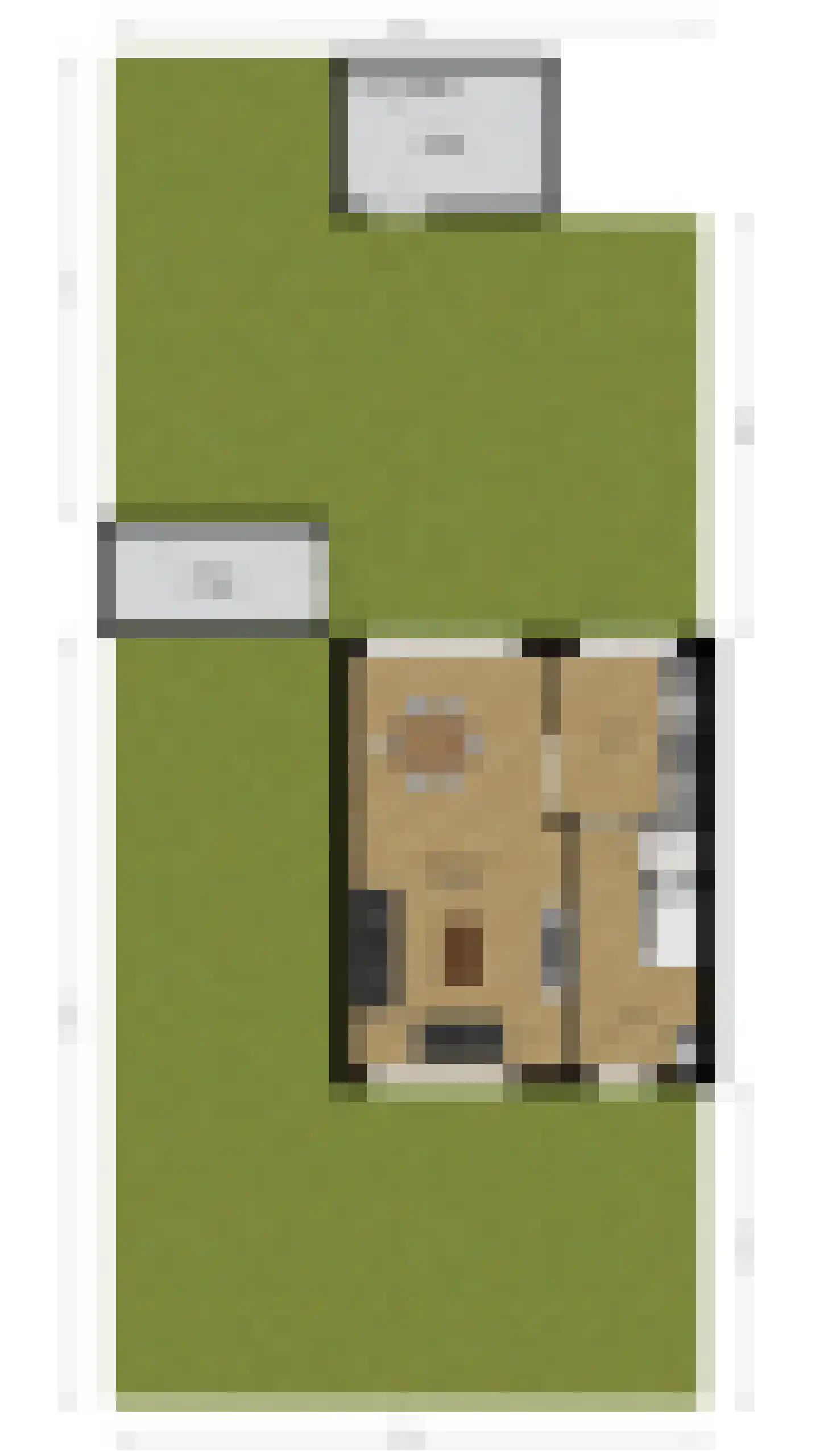 Hiddes de Friesstraat 2 Veghel thumbnail 43