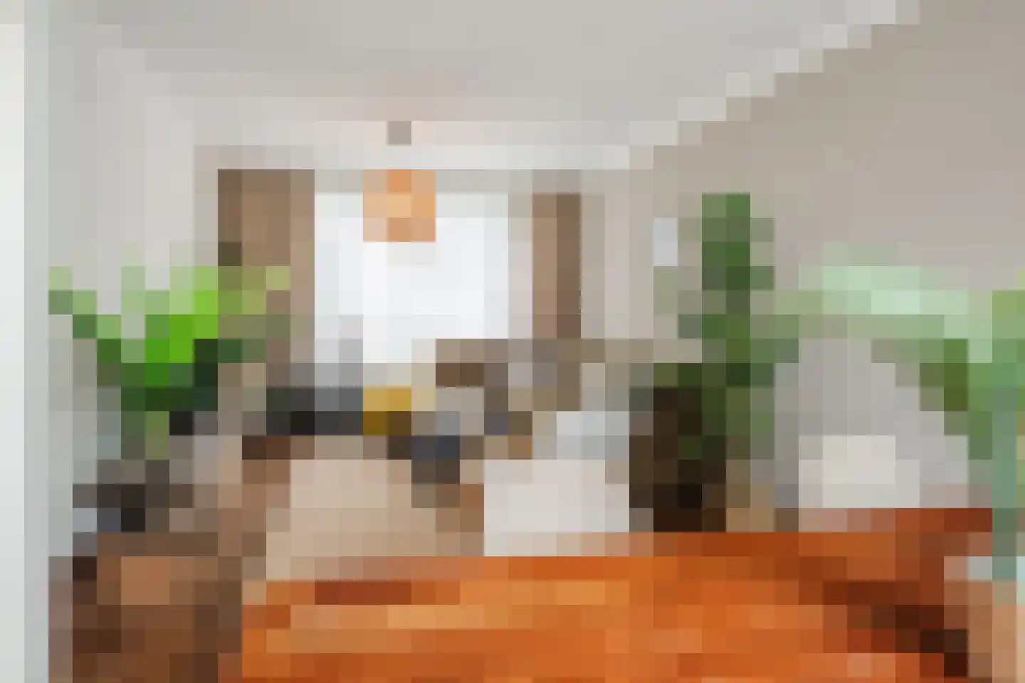 Hiddes de Friesstraat 2 Veghel thumbnail 8
