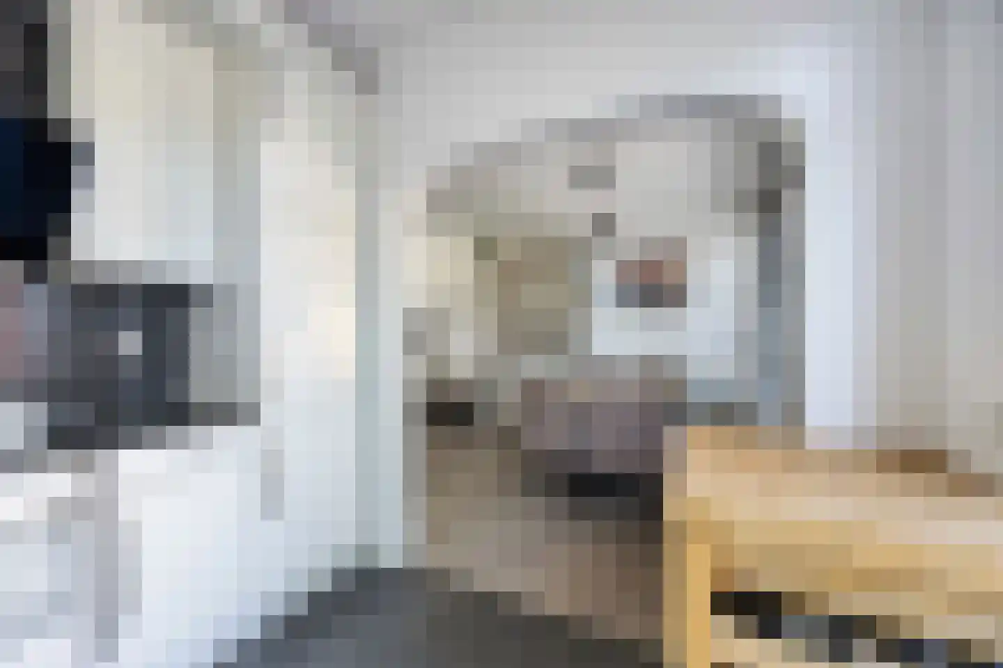 Hiddes de Friesstraat 6 Veghel thumbnail 13