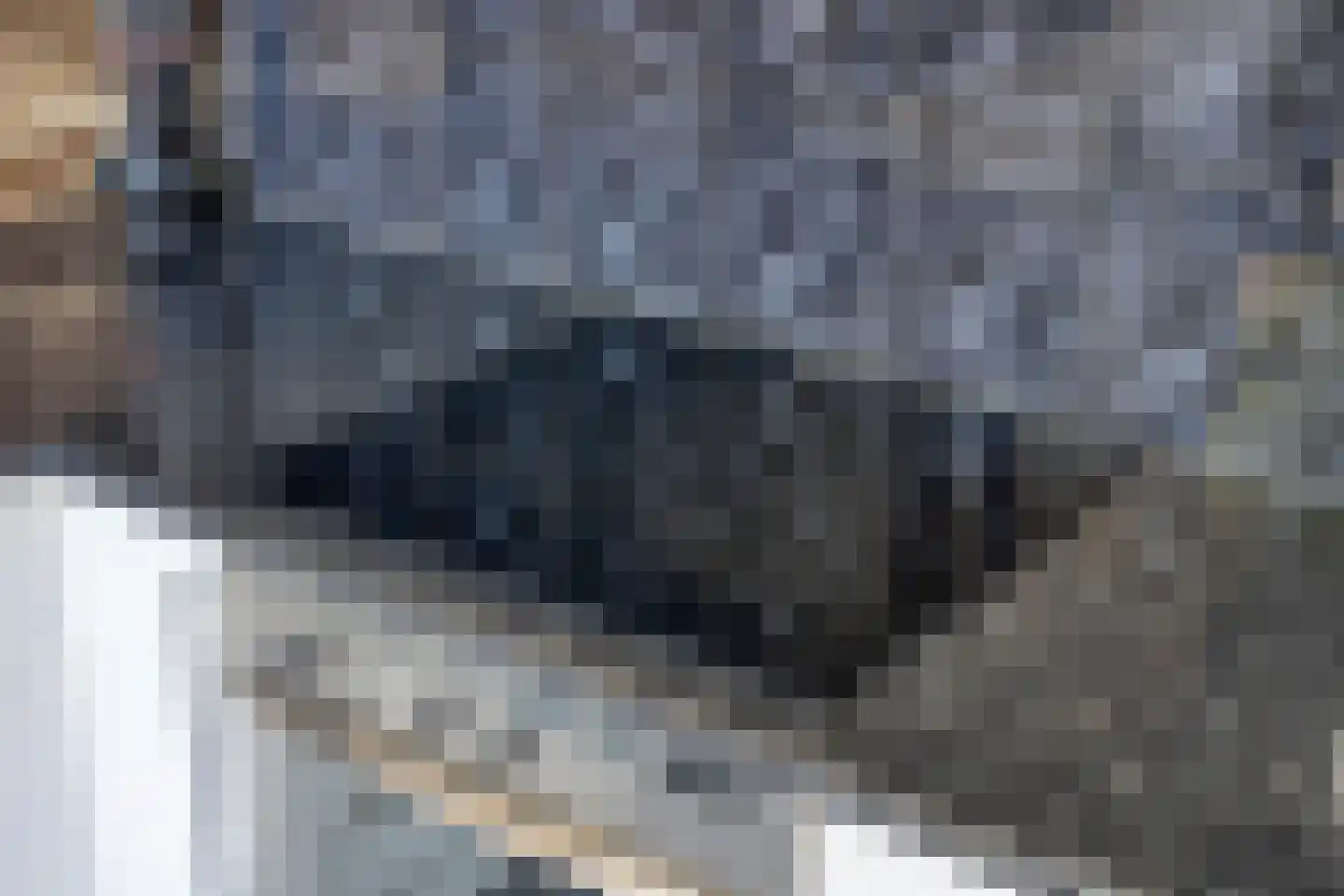 Hiddes de Friesstraat 6 Veghel thumbnail 14