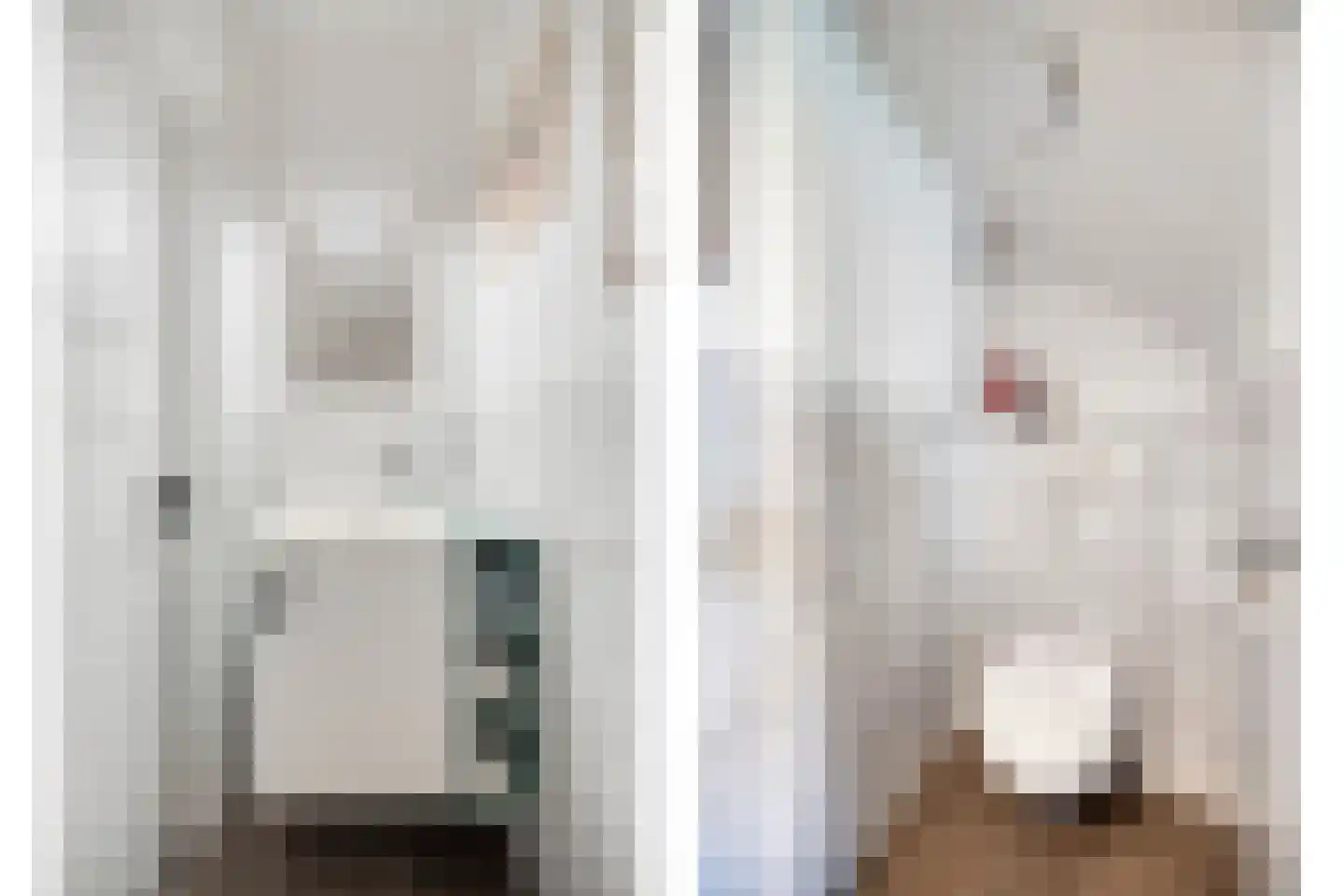 Hiddes de Friesstraat 6 Veghel thumbnail 16
