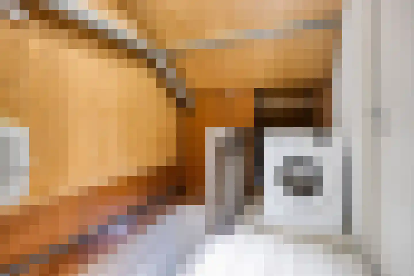 Hiddes de Friesstraat 6 Veghel thumbnail 26