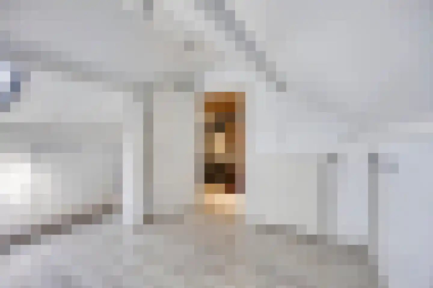 Hiddes de Friesstraat 6 Veghel thumbnail 27