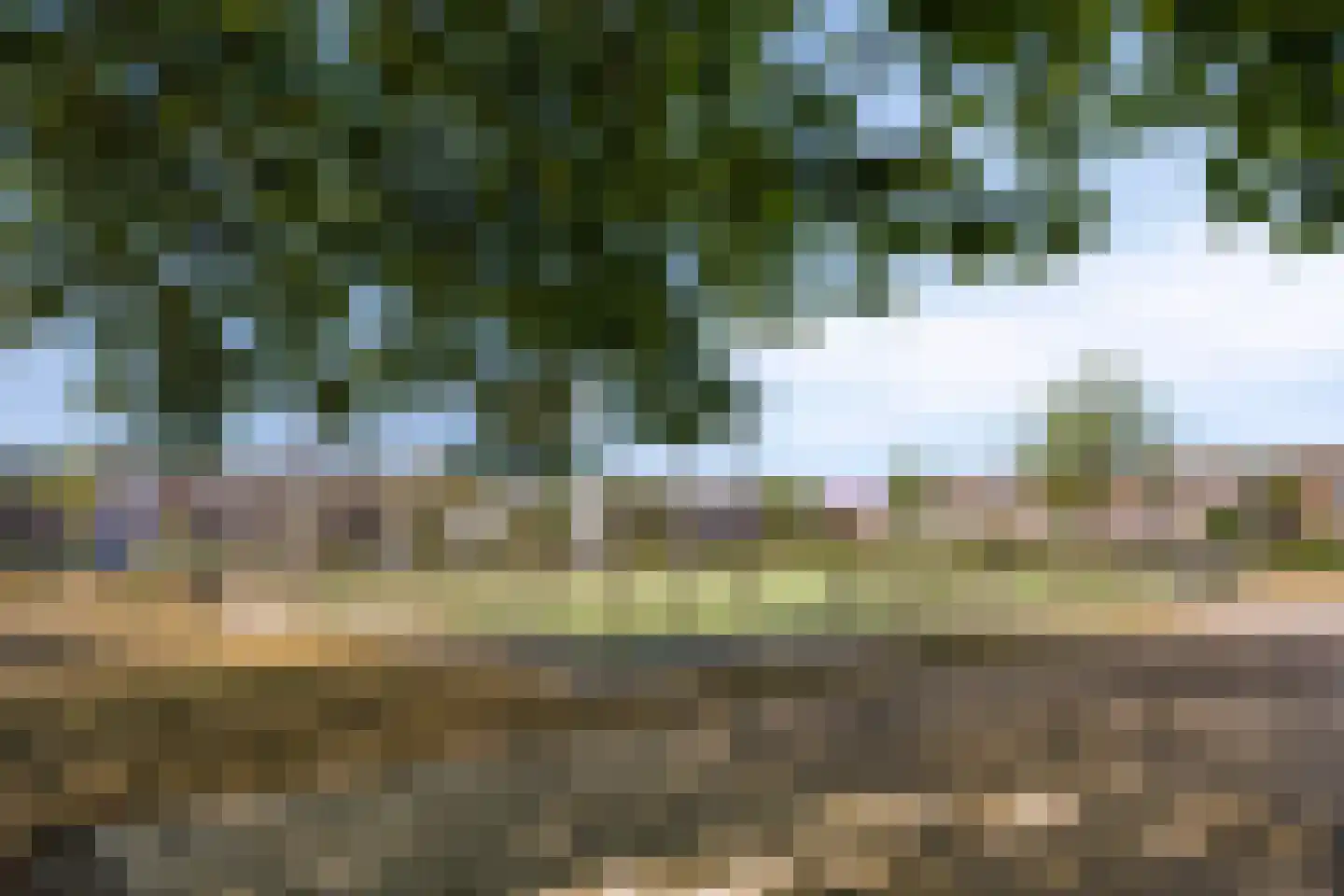 Hiddes de Friesstraat 6 Veghel thumbnail 33