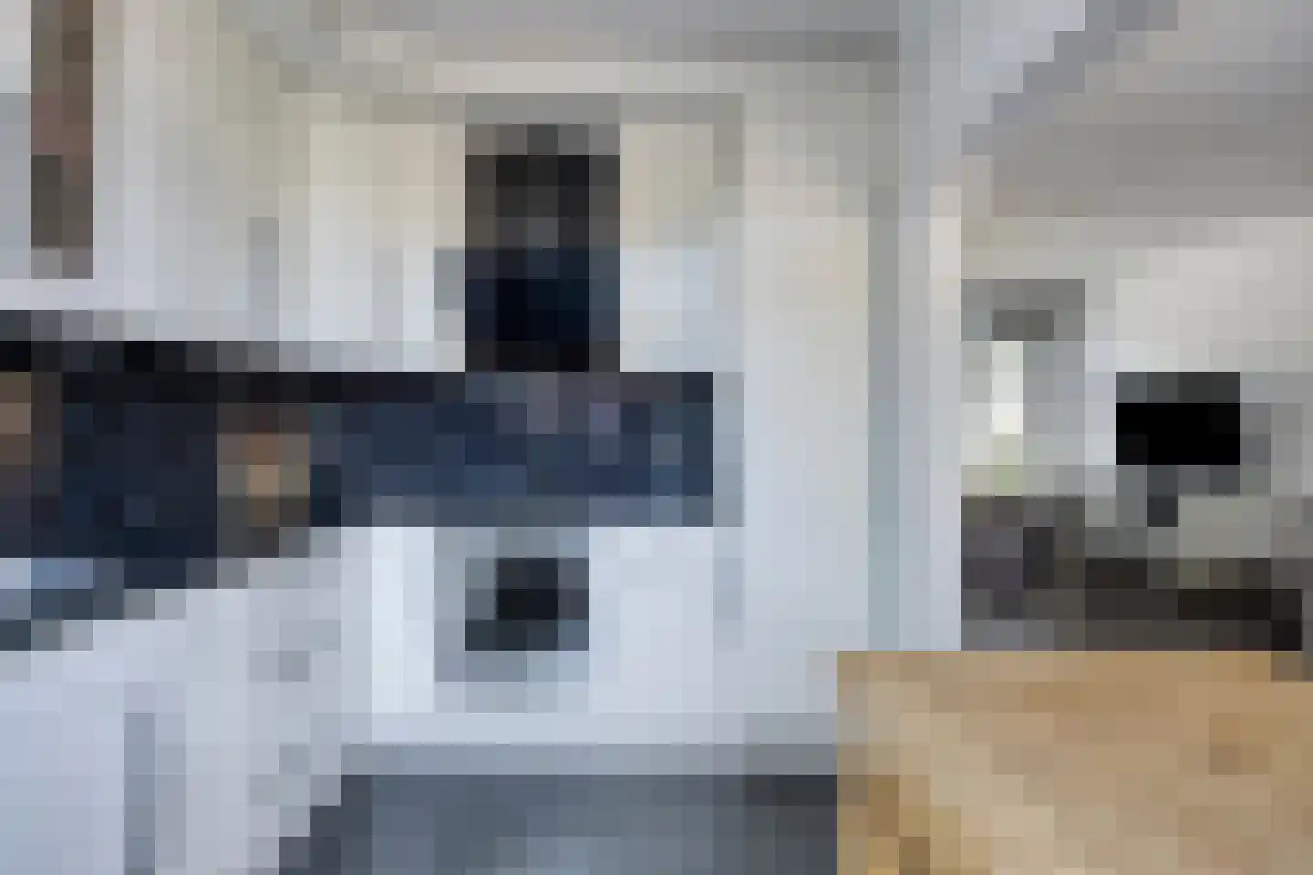 Hiddes de Friesstraat 6 Veghel thumbnail 4